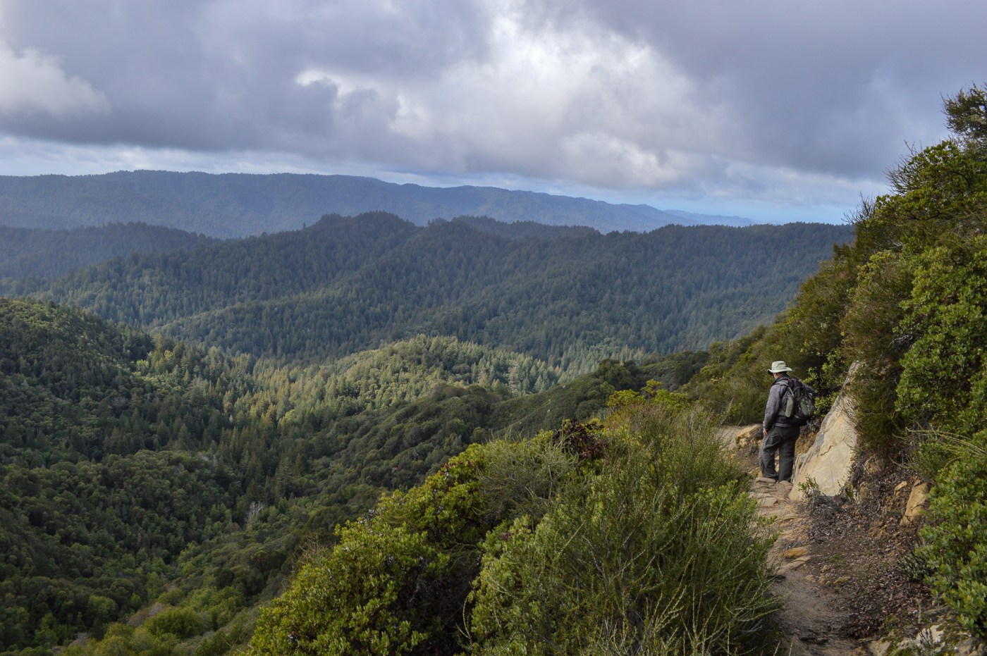 5 Bay Area summer hikes to catch cool breezes and breathtaking scenery