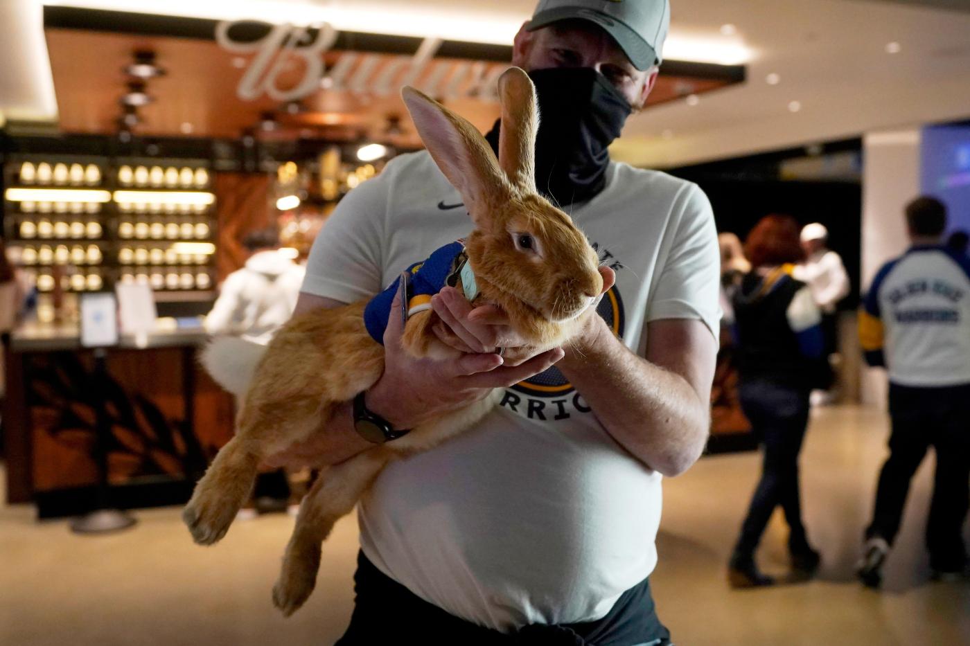 Beloved ballpark therapy bunny, Alex The Great, has died after complications from cancer