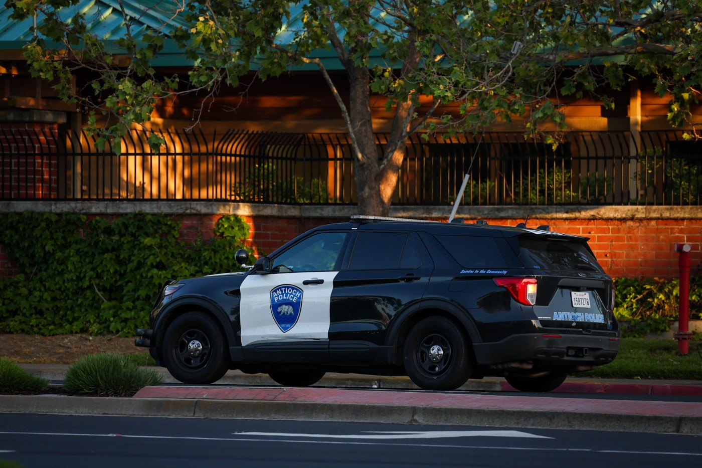 Woman survives after suffering gunshot wound in East Bay shooting
