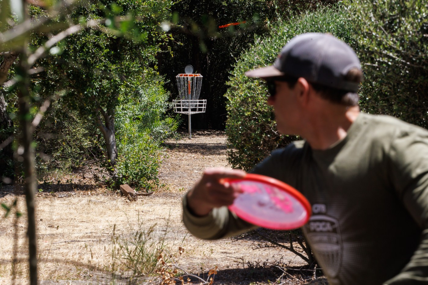 Disc golf courses multiply around the Bay Area as the sport rises from the fringe