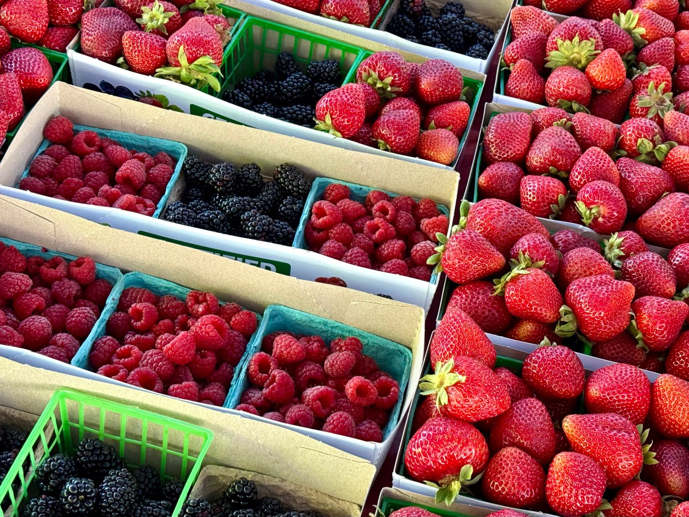 Trump tariffs hike prices at downtown San Jose farmers market