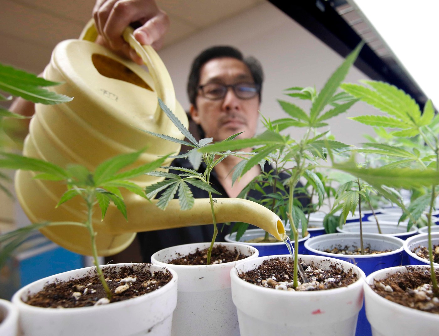 Philp: What if the only thing Sacramento can make affordable is weed?