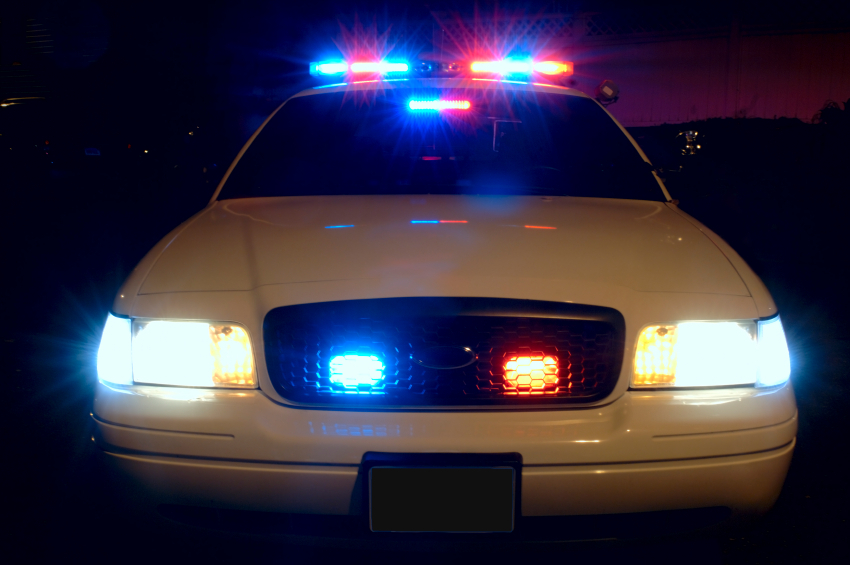 Vandal targets half a dozen businesses in Willow Glen