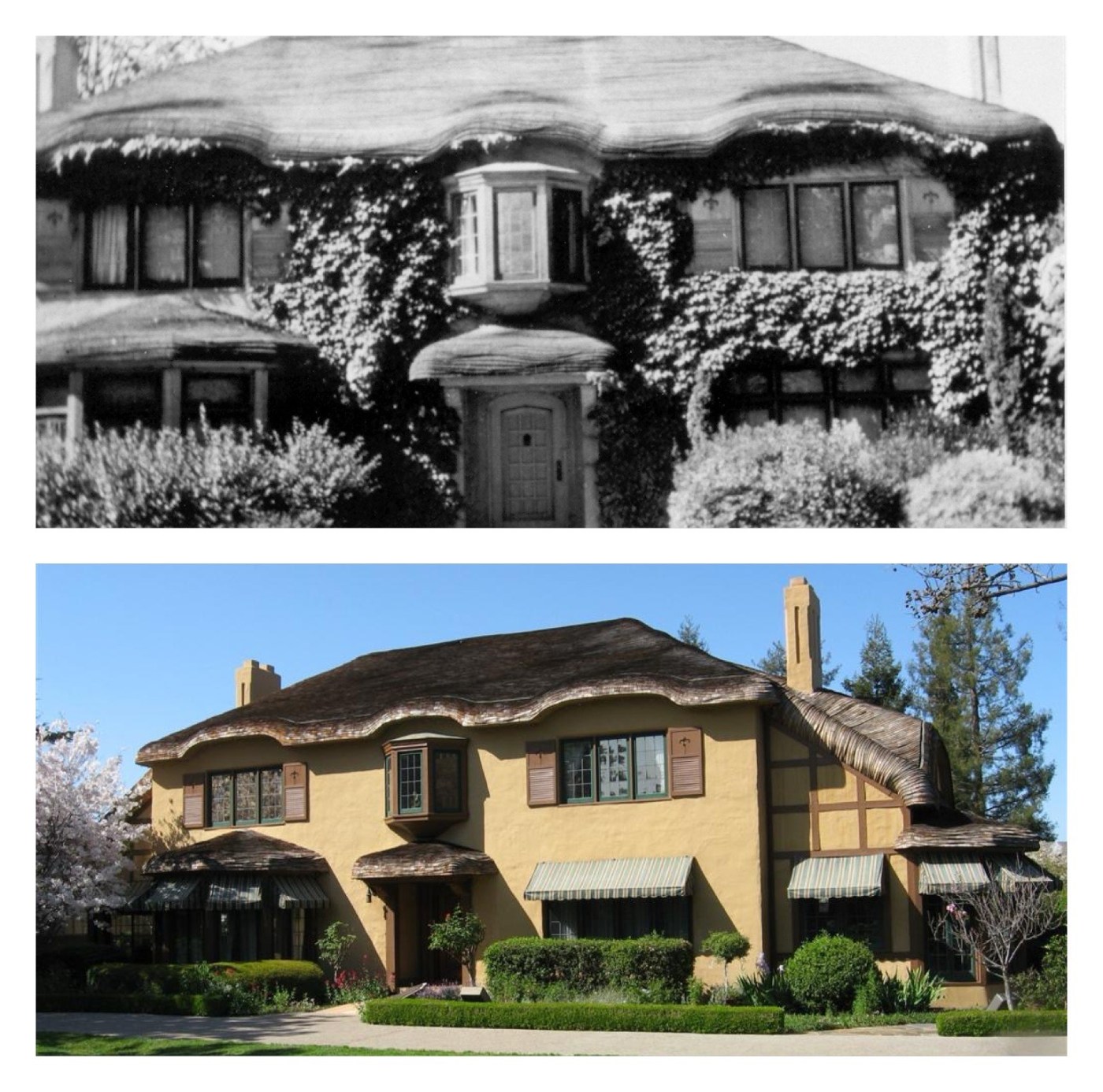 Campbell’s Ainsley House turns 100 with ‘A Night Under the Stars’