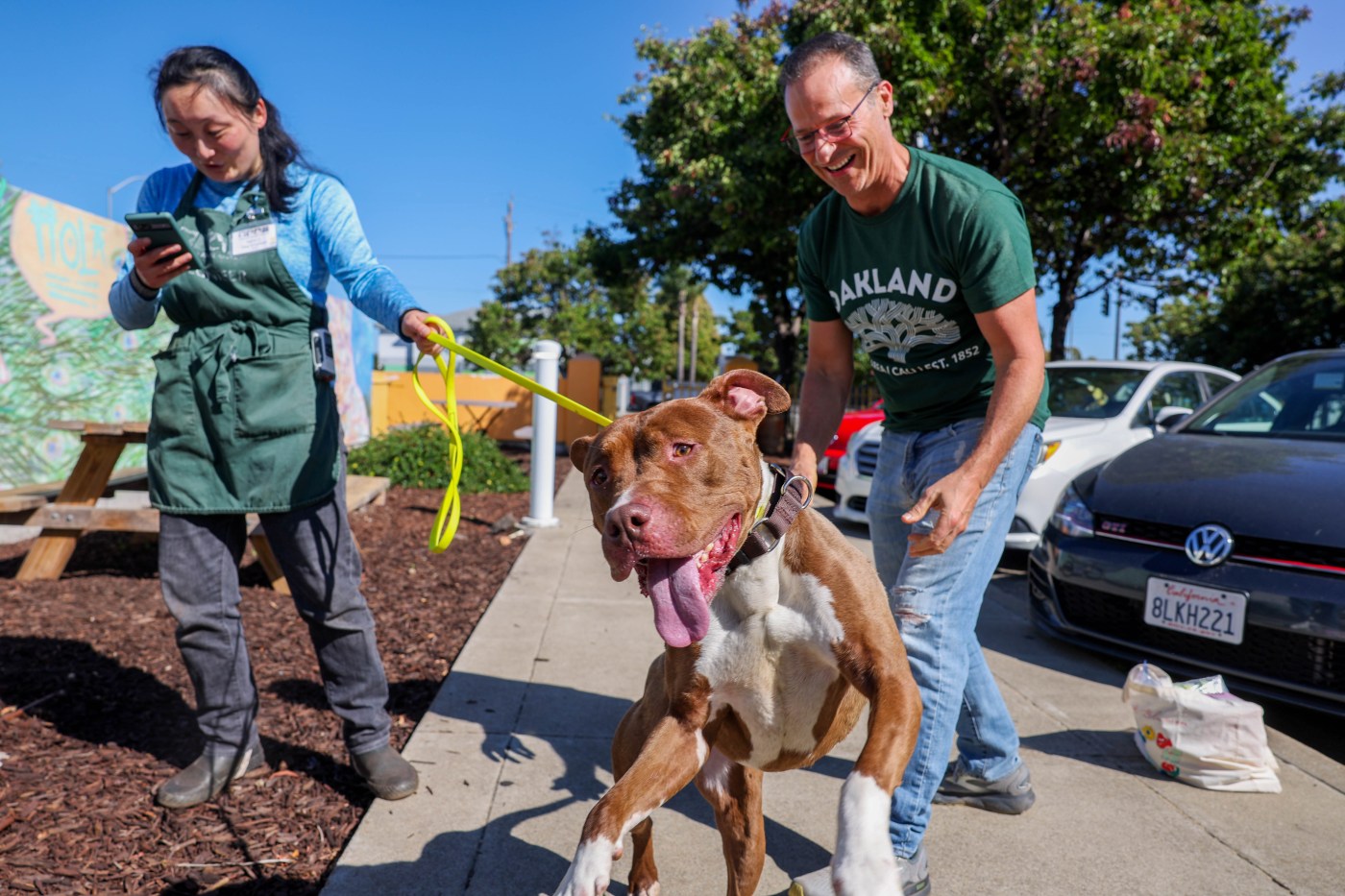 Oakland’s animal shelter no longer mandated to take all animals amid surge in drop-offs, reduced staff