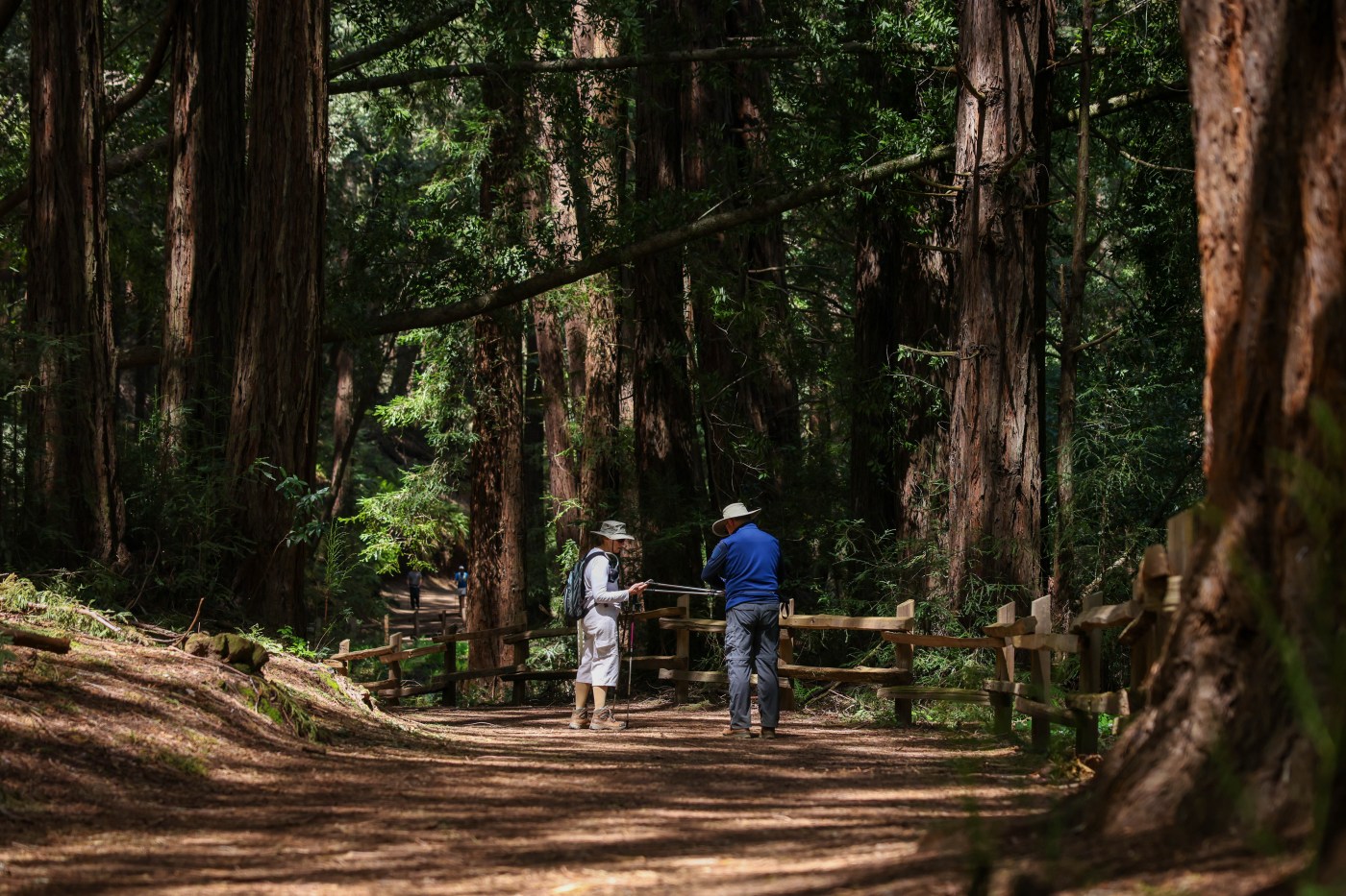 Explore these new trails in California over Labor Day weekend