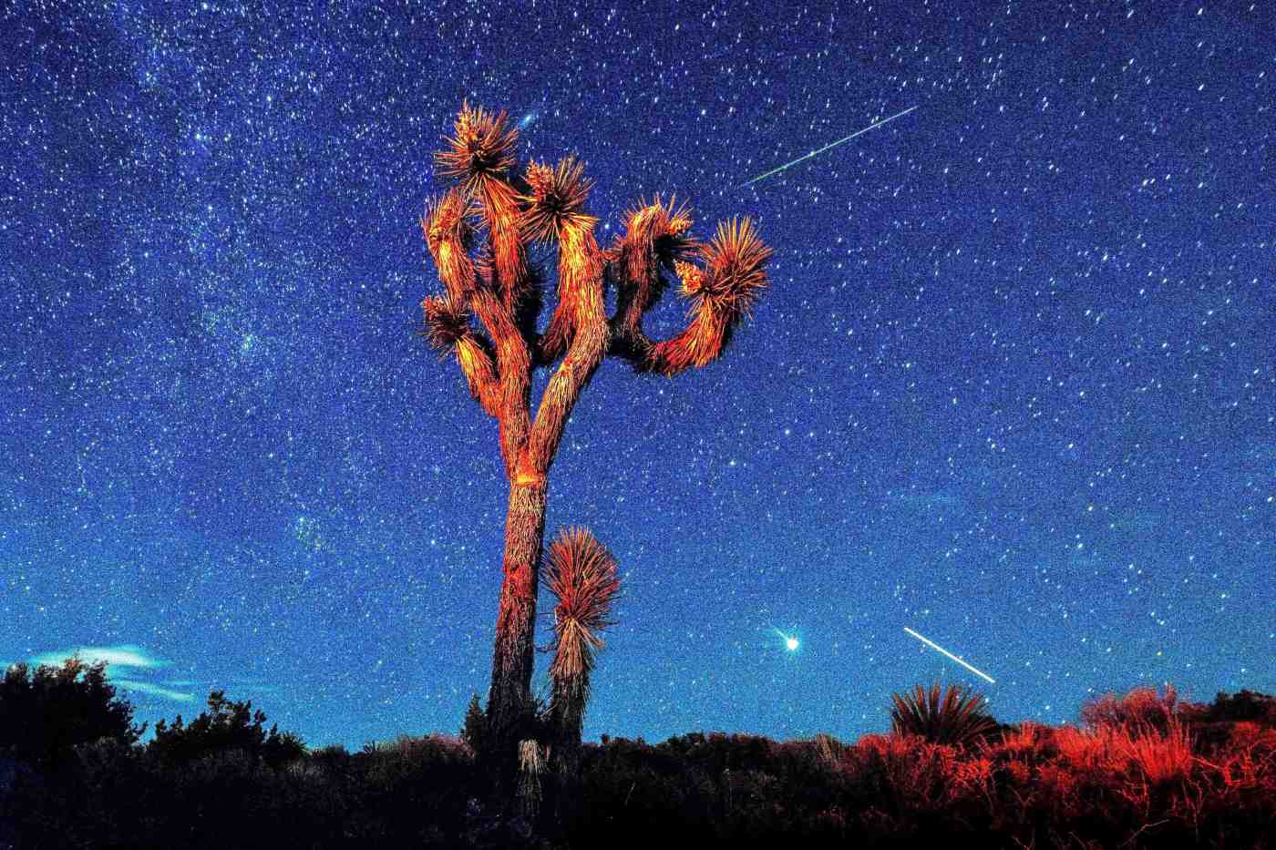 Perseid meteor shower: How and when to watch