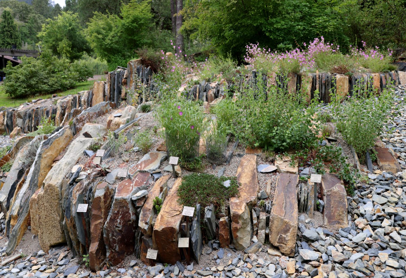 The treasures of Tilden