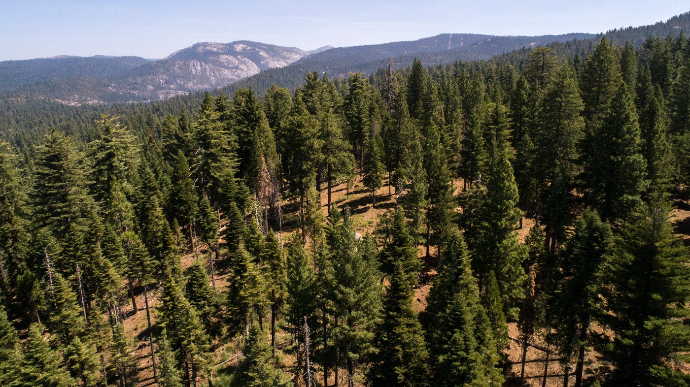 Letters: Rolling back Roadless Rule threatens our forests, communities