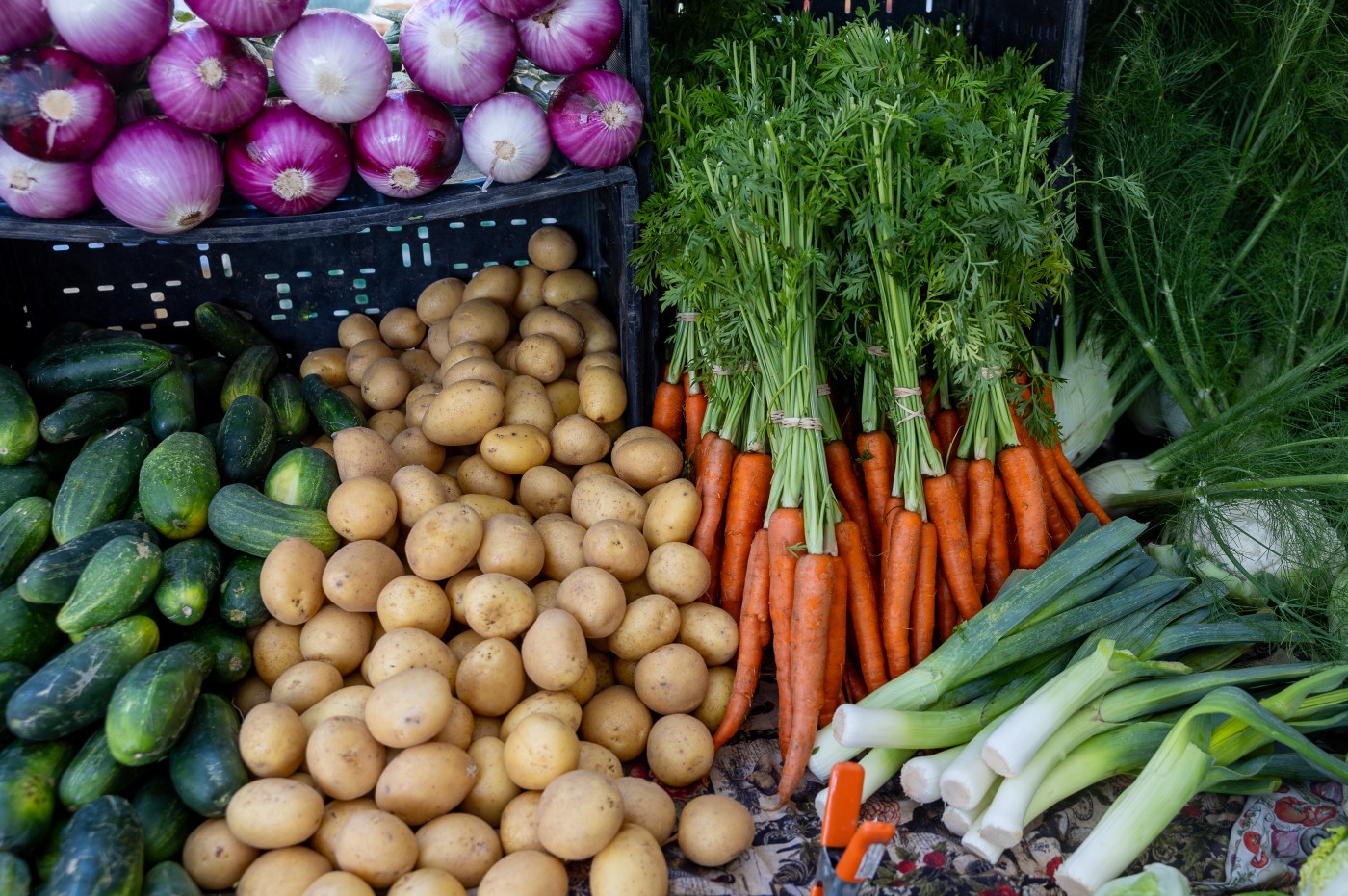Family Harvest food giveaway program set for Aug. 27 in Sunnyvale
