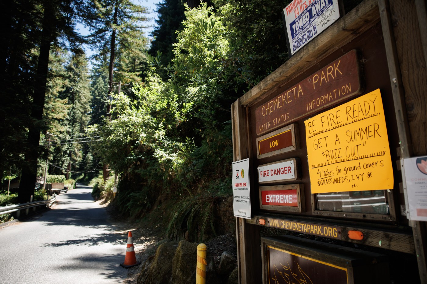 Saratoga’s FireSafe Council gets $185k grant for wildfire resilience projects