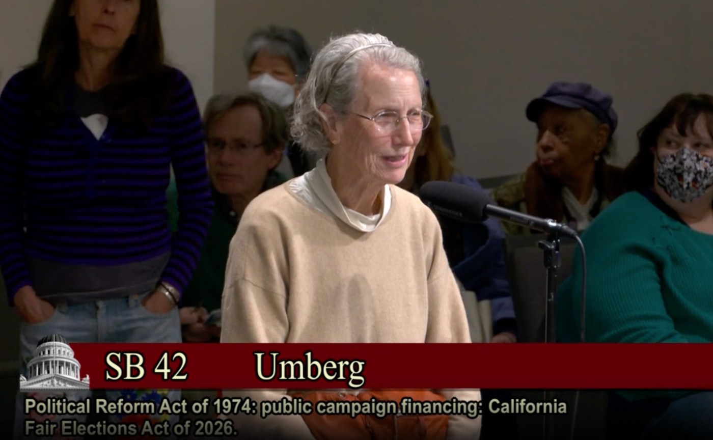 Ishii: Public financing opened the door for me. A state Senate bill can do that for others.