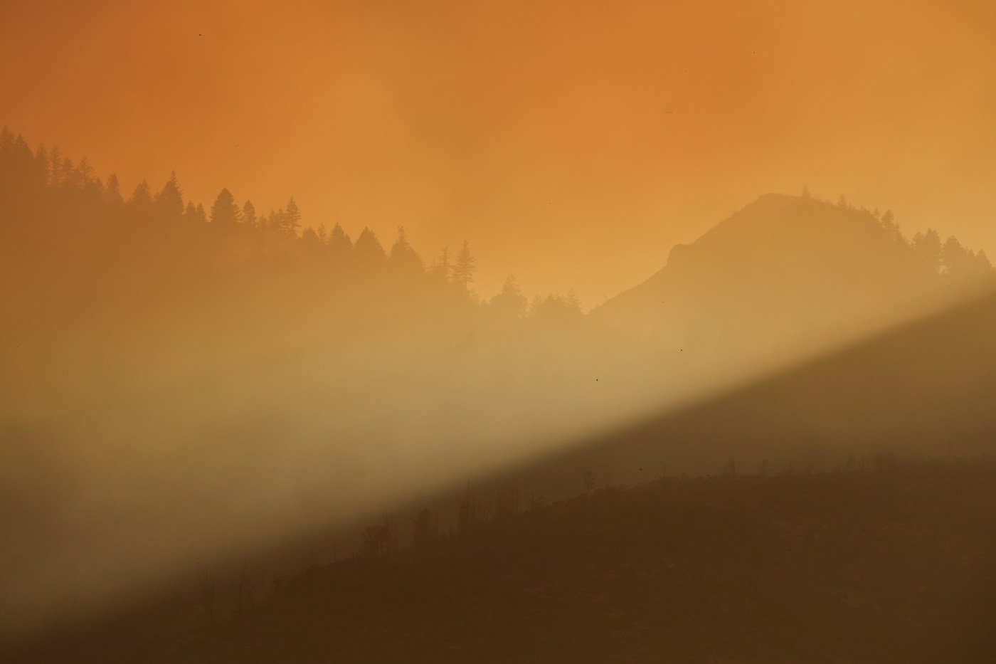 Growing Pickett Fire prompts new Napa County evacuation orders Saturday