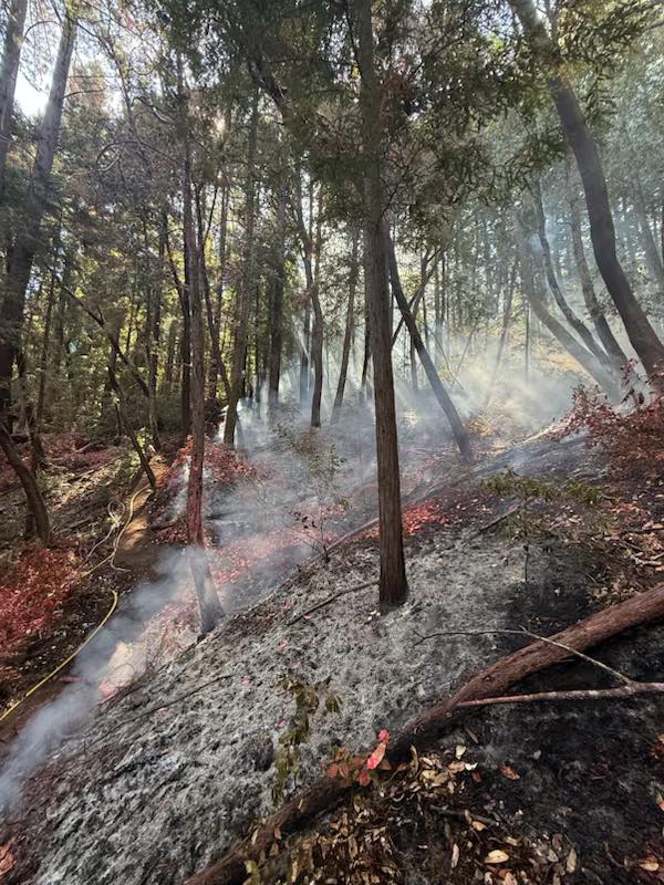 Air attack stifles wildfire in rugged terrain above Corralitos