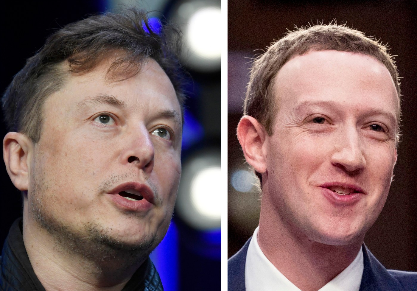 Elon Musk tried to enlist Mark Zuckerberg to help finance OpenAI bid