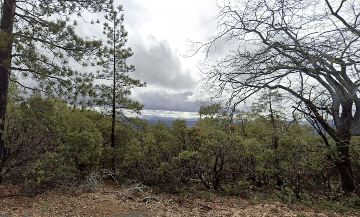 Dog leads searchers to his lost owner in the Sierra foothills, then disappears