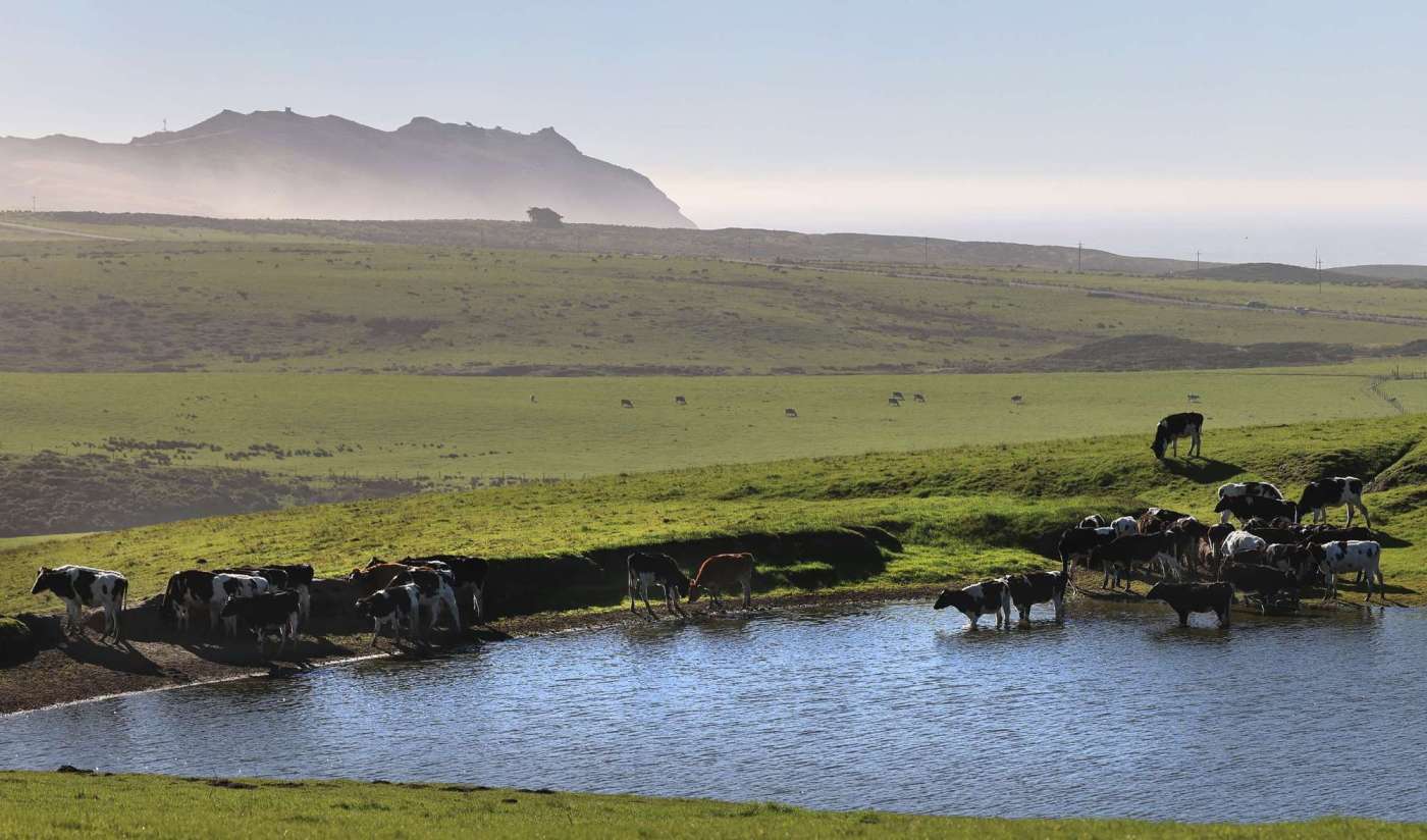 Unbeknownst to Point Reyes ranchers, $10 million in restoration funds lined up by Nature Conservancy long before landmark deal