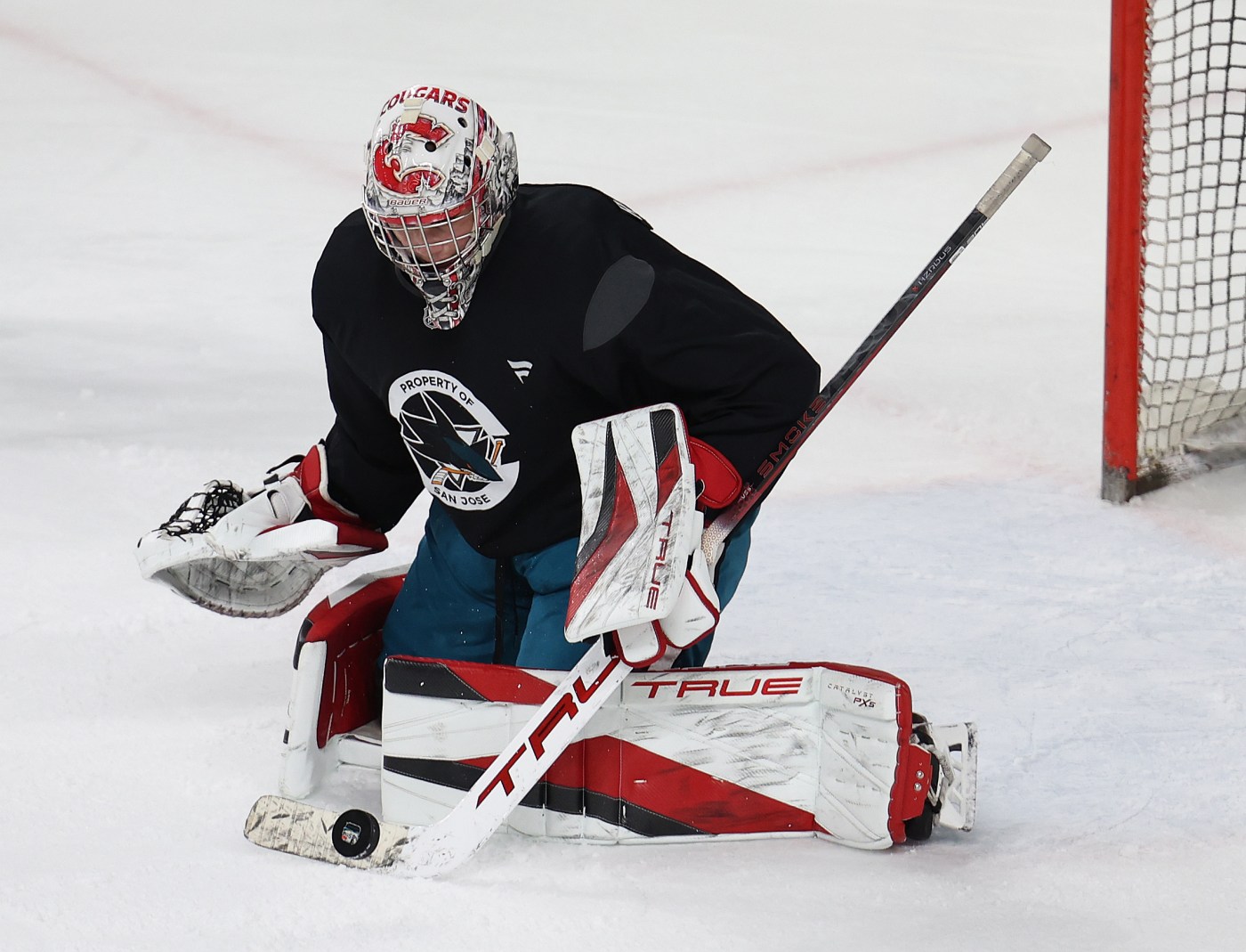 Sharks cut 7 from training camp roster, including 2025 first-round goalie