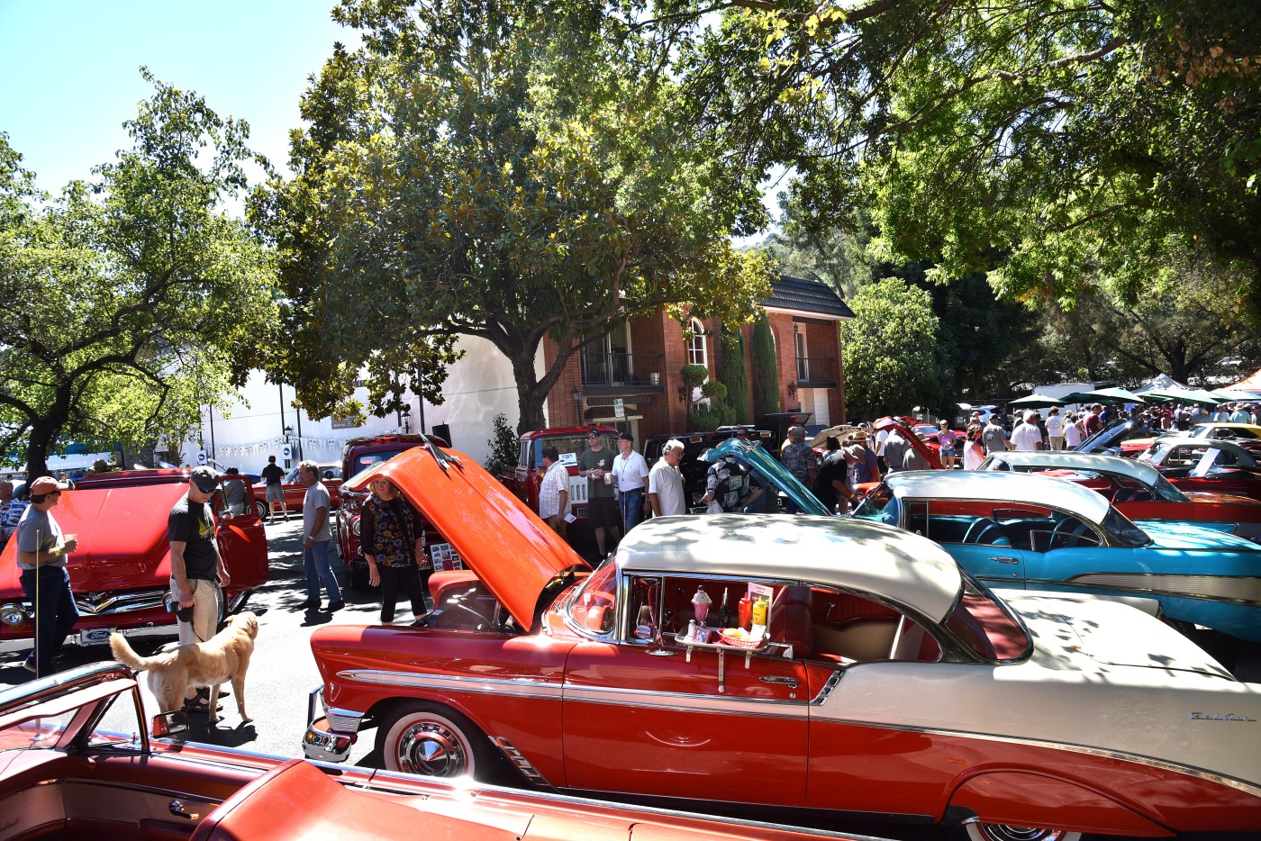 American muscle cars vs. the British at the 2025 Orinda Classic Car Show
