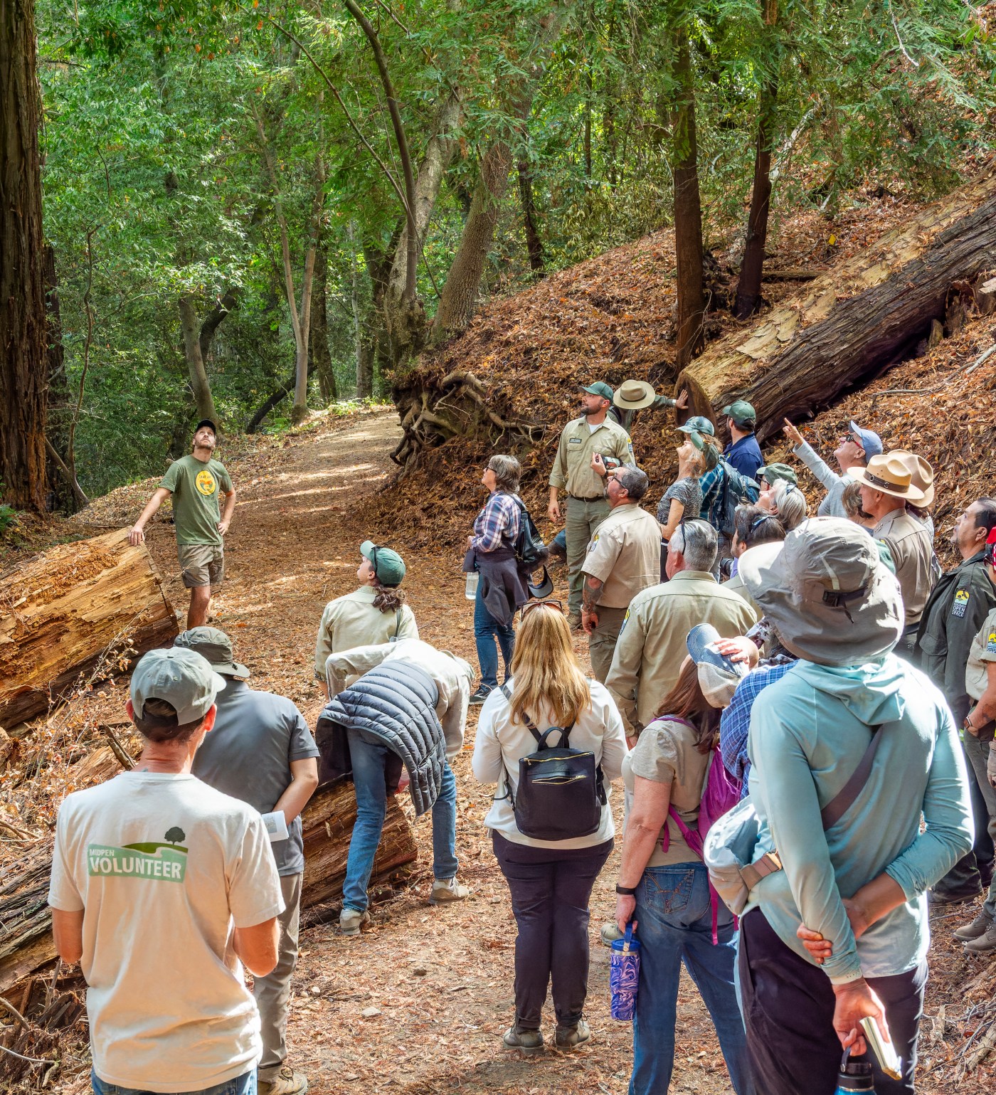 Midpen has new volunteer program for trail lovers