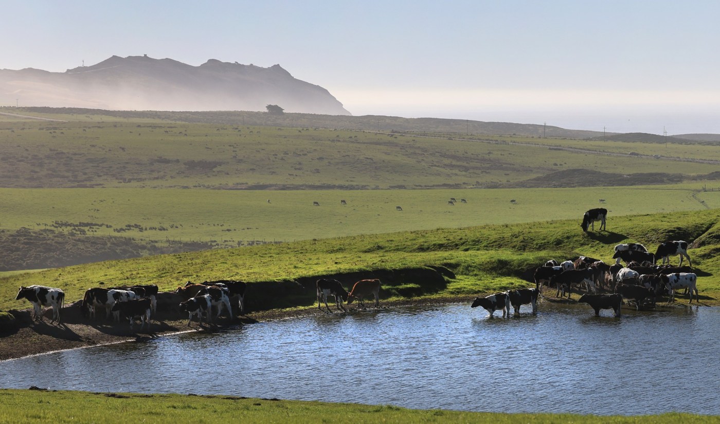 7 facts about the Point Reyes National Seashore