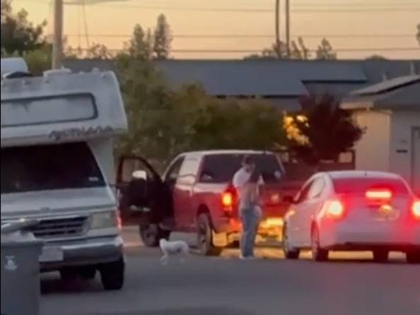 Monthslong tension between Bay Area neighbors precedes racial confrontation seen on viral video