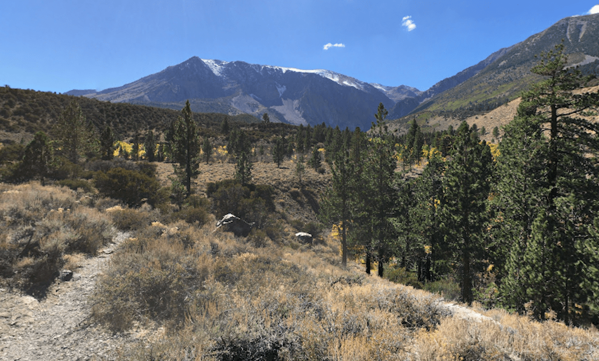 Hikers near Yosemite hunker down and call for help as bullets whiz by