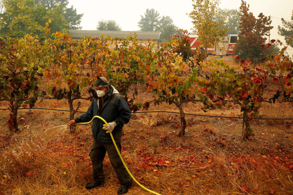 UC Berkeley researchers find 75% of surveyed field workers labored during Sonoma County wildfires since 2017