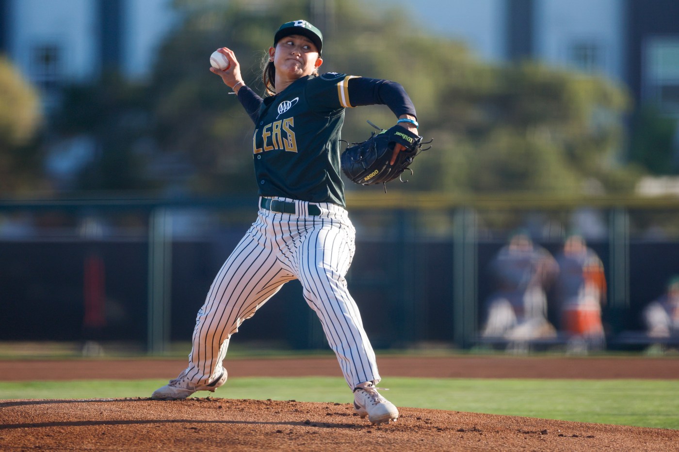 Bay Area lands team for inaugural season of Women’s Pro Baseball League