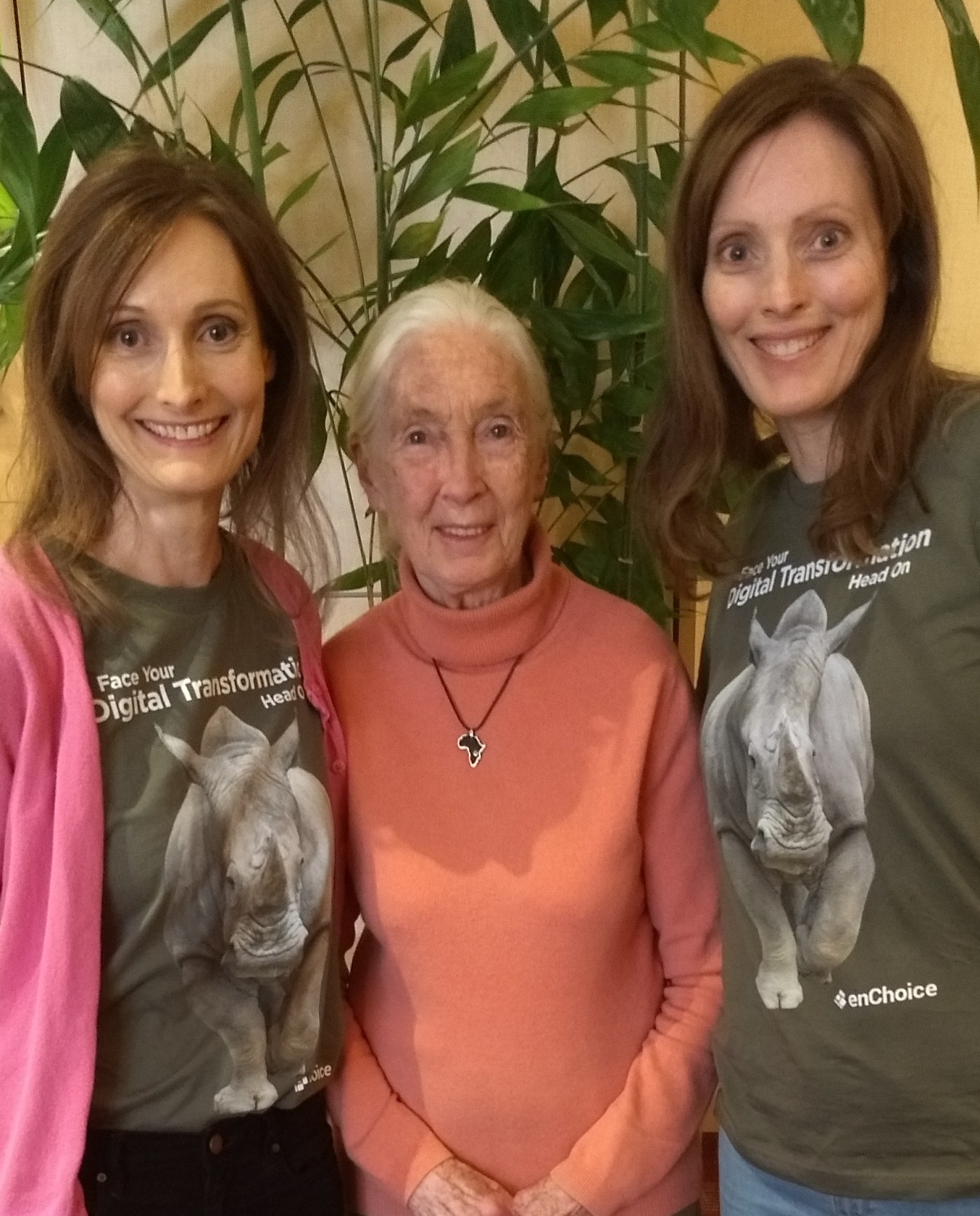 Opinion: Jane Goodall’s advocacy for animals included a vegan diet