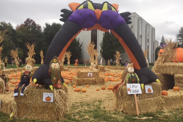 Eye on the Hills: Favorite Halloween happenings in Oakland and beyond