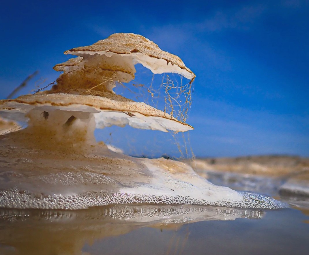 The alien salt-scapes of the South Bay shine in these photos