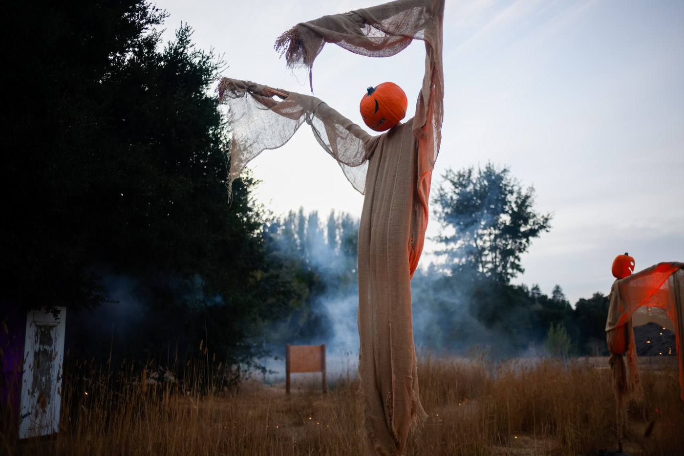 Get your thrills, chills and plain old Halloween silliness at these Bay Area events