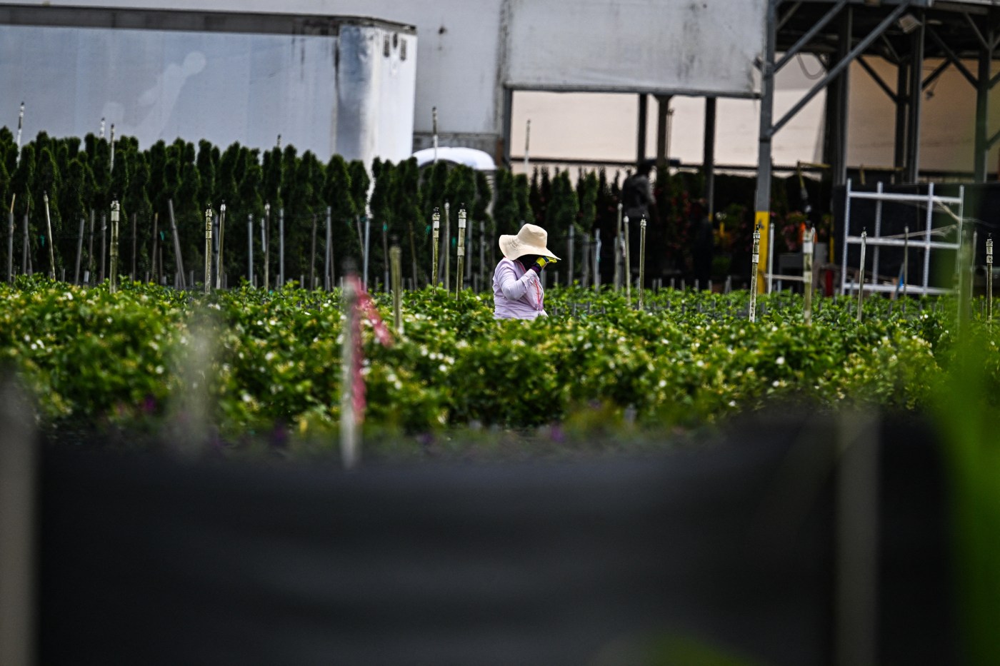 Lopez: ICE raids are threatening the nation’s food supply