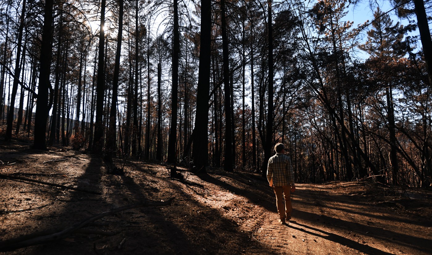 The Pickett Fire’s destruction hid a quiet miracle in Napa County’s hills