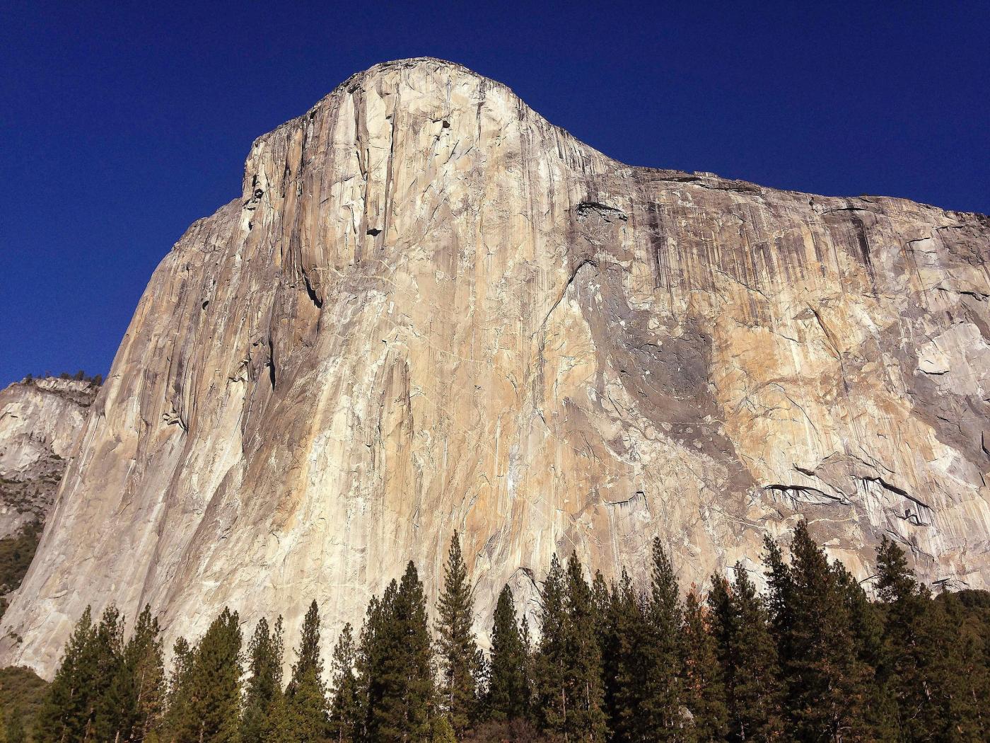 Climbing star dies in fall from Yosemite’s El Capitan