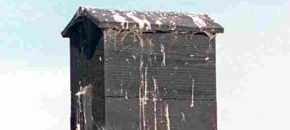 San Ramon family has 2 houses ready for occupancy; bats only, please