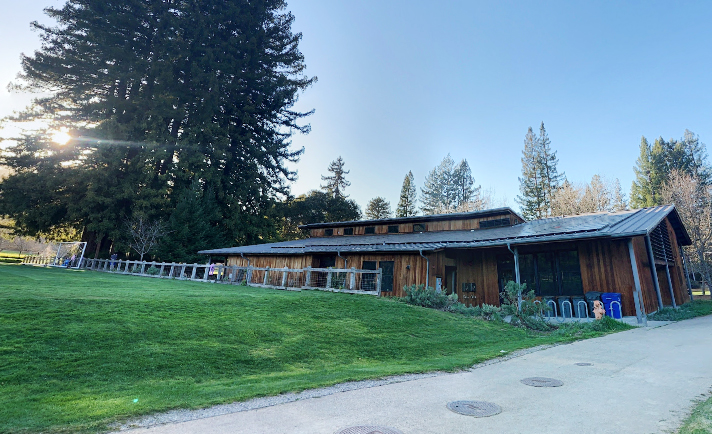 Rabid bat confirmed at Portola Valley Town Center