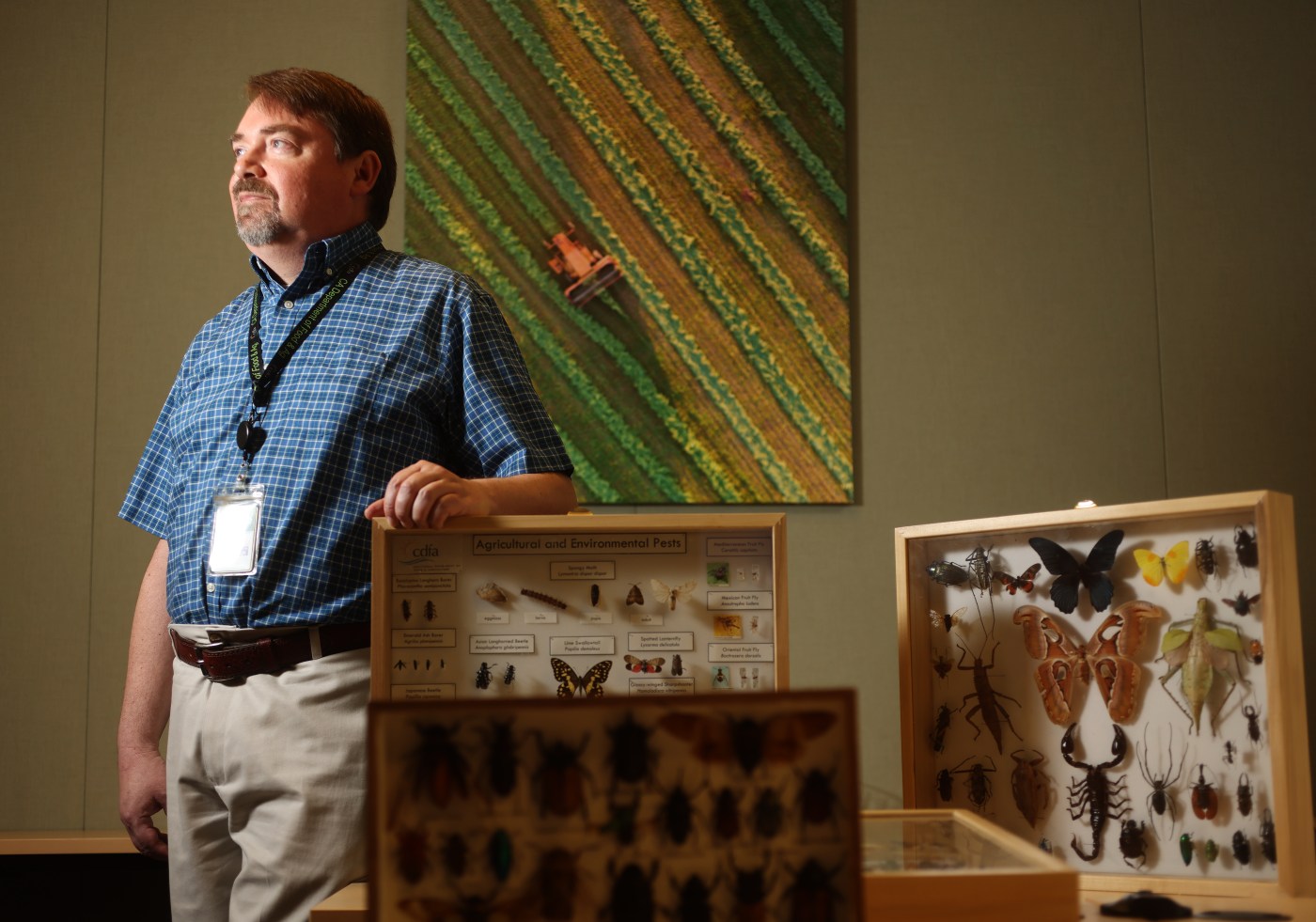 Why is the government dropping millions of flies over the Bay Area?